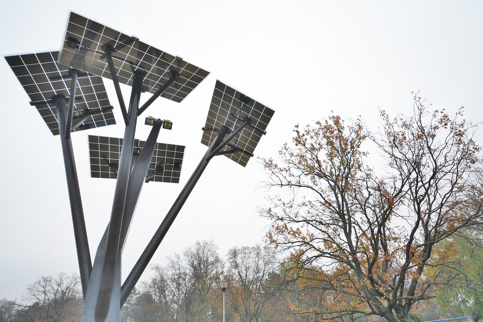 Szolár fa a Haleszben USB telefontöltőkkel